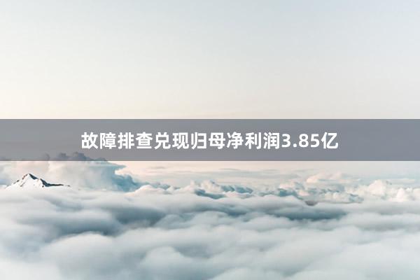 故障排查兑现归母净利润3.85亿