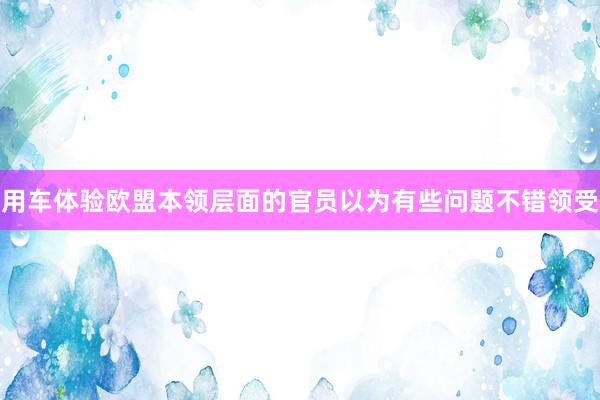 用车体验欧盟本领层面的官员以为有些问题不错领受