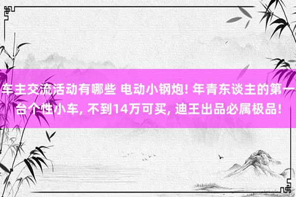 车主交流活动有哪些 电动小钢炮! 年青东谈主的第一台个性小车, 不到14万可买, 迪王出品必属极品!