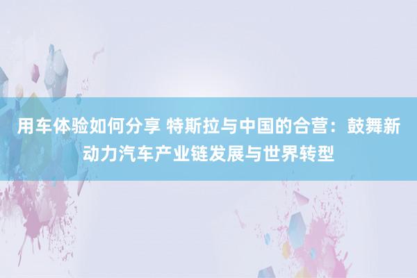 用车体验如何分享 特斯拉与中国的合营：鼓舞新动力汽车产业链发展与世界转型