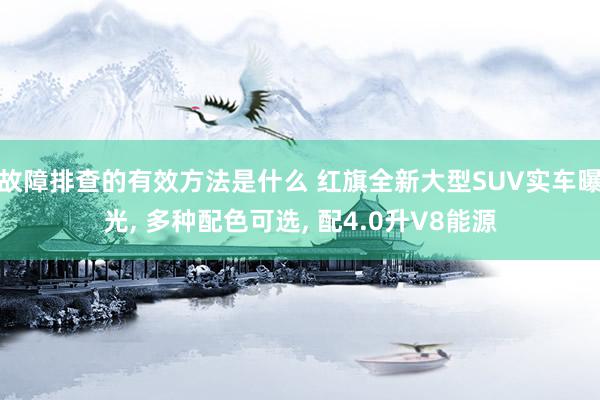 故障排查的有效方法是什么 红旗全新大型SUV实车曝光, 多种配色可选, 配4.0升V8能源