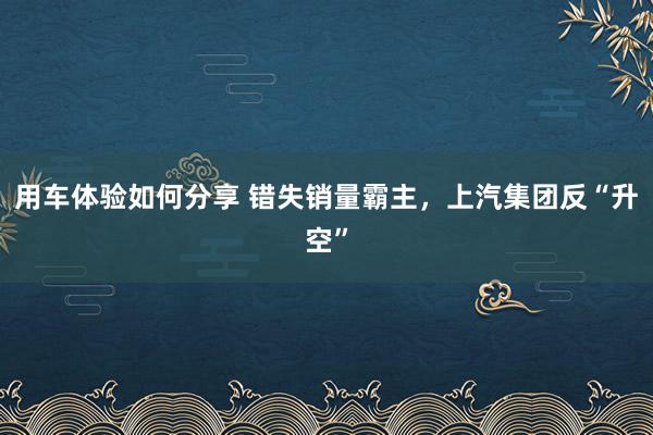 用车体验如何分享 错失销量霸主，上汽集团反“升空”