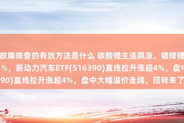 故障排查的有效方法是什么 碳酸锂主连飙涨，赣锋锂业涨停、宁德期间涨3%，新动力汽车ETF(516390)直线拉升涨超4%，盘中大幅溢价走阔，回转来了？