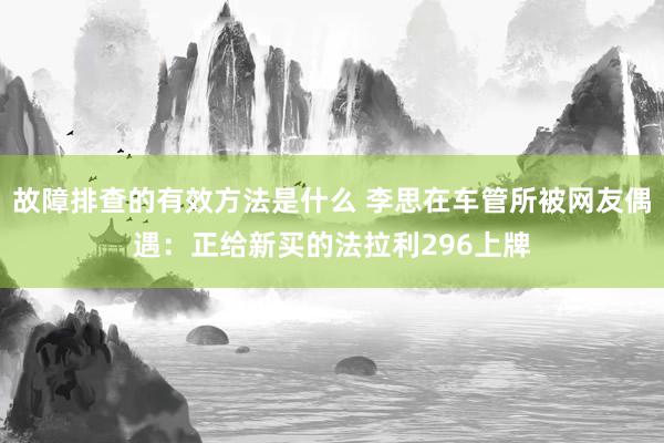 故障排查的有效方法是什么 李思在车管所被网友偶遇：正给新买的法拉利296上牌