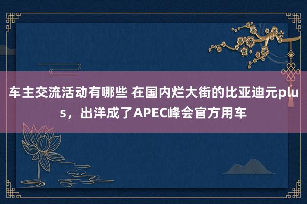 车主交流活动有哪些 在国内烂大街的比亚迪元plus，出洋成了APEC峰会官方用车