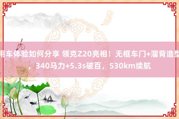 用车体验如何分享 领克Z20亮相！无框车门+溜背造型，340马力+5.3s破百，530km续航