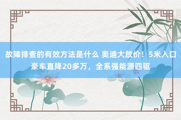 故障排查的有效方法是什么 奥迪大放价！5米入口豪车直降20多万，全系强能源四驱