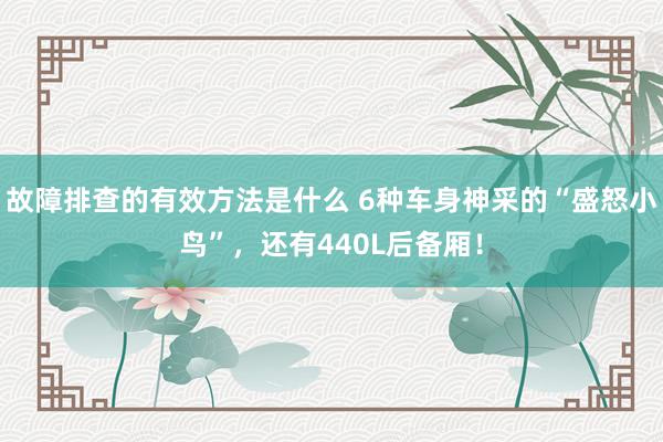 故障排查的有效方法是什么 6种车身神采的“盛怒小鸟”，还有440L后备厢！