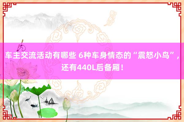 车主交流活动有哪些 6种车身情态的“震怒小鸟”，还有440L后备厢！