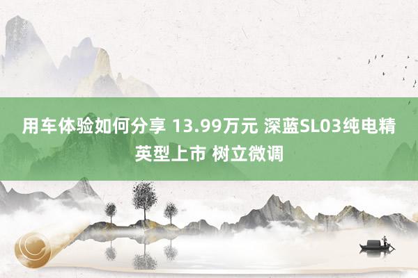 用车体验如何分享 13.99万元 深蓝SL03纯电精英型上市 树立微调