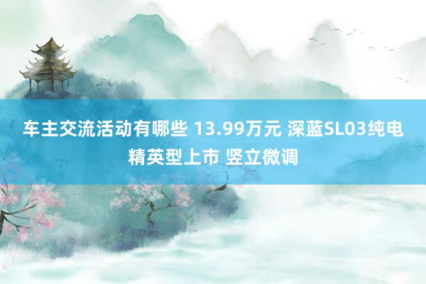 车主交流活动有哪些 13.99万元 深蓝SL03纯电精英型上市 竖立微调