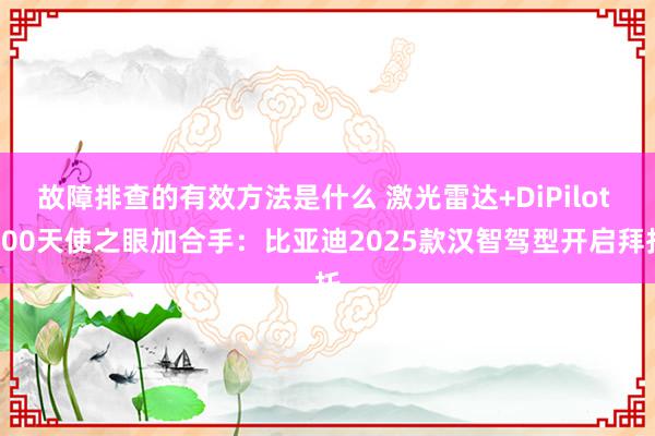 故障排查的有效方法是什么 激光雷达+DiPilot 300天使之眼加合手：比亚迪2025款汉智驾型开启拜托