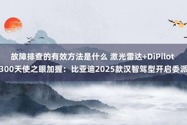 故障排查的有效方法是什么 激光雷达+DiPilot 300天使之眼加握：比亚迪2025款汉智驾型开启委派