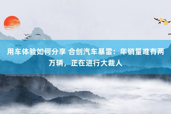 用车体验如何分享 合创汽车暴雷：年销量唯有两万辆，正在进行大裁人