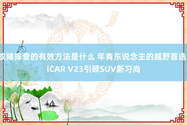 故障排查的有效方法是什么 年青东说念主的越野首选，iCAR V23引颈SUV新习尚