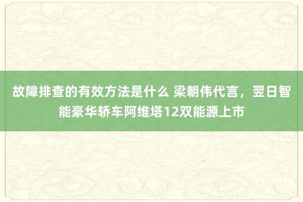 故障排查的有效方法是什么 梁朝伟代言，翌日智能豪华轿车阿维塔12双能源上市