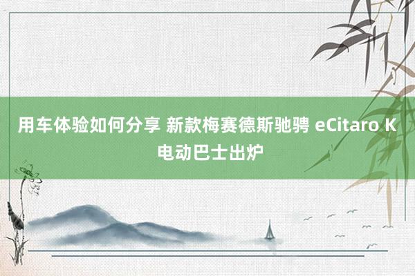 用车体验如何分享 新款梅赛德斯驰骋 eCitaro K 电动巴士出炉