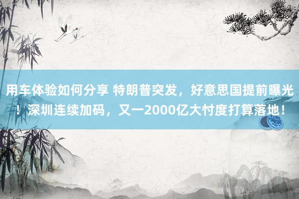 用车体验如何分享 特朗普突发，好意思国提前曝光！深圳连续加码，又一2000亿大忖度打算落地！