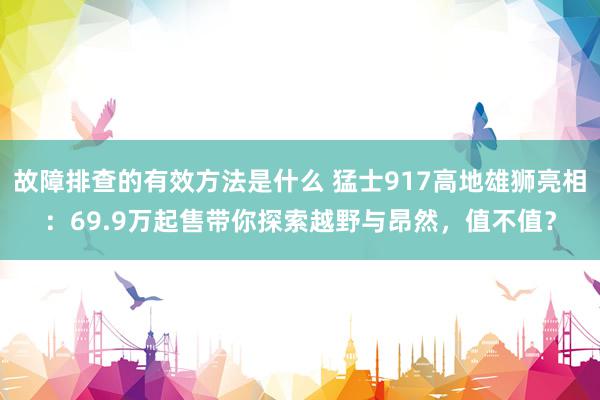 故障排查的有效方法是什么 猛士917高地雄狮亮相：69.9万起售带你探索越野与昂然，值不值？