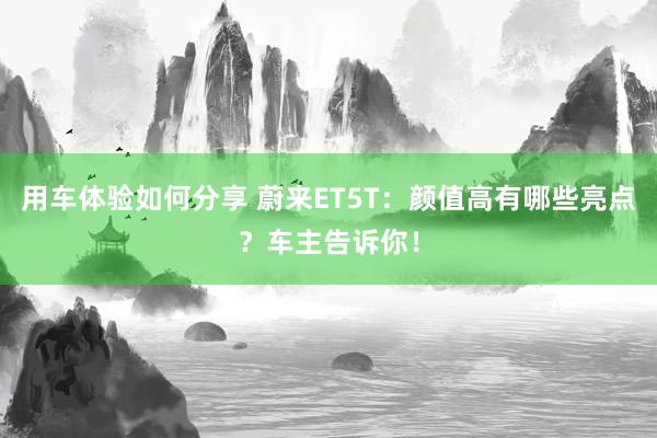 用车体验如何分享 蔚来ET5T：颜值高有哪些亮点？车主告诉你！