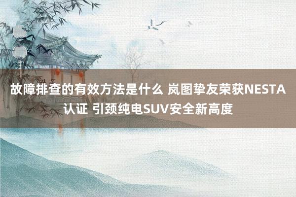 故障排查的有效方法是什么 岚图挚友荣获NESTA认证 引颈纯电SUV安全新高度