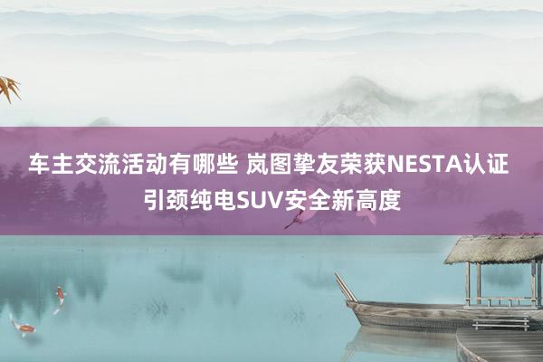 车主交流活动有哪些 岚图挚友荣获NESTA认证 引颈纯电SUV安全新高度