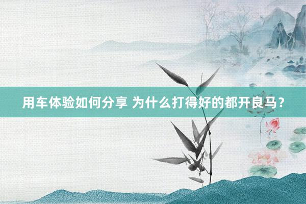 用车体验如何分享 为什么打得好的都开良马？