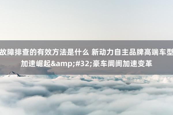 故障排查的有效方法是什么 新动力自主品牌高端车型加速崛起&#32;豪车阛阓加速变革