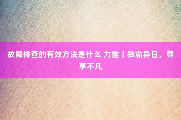 故障排查的有效方法是什么 力推丨独霸异日，尊享不凡