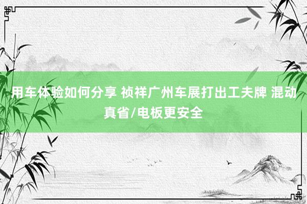 用车体验如何分享 祯祥广州车展打出工夫牌 混动真省/电板更安全