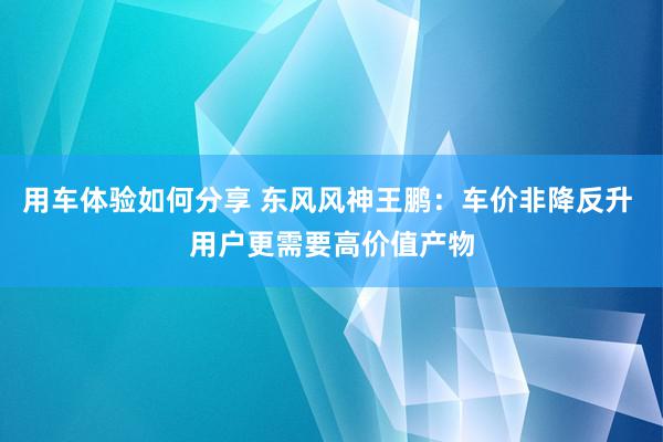 用车体验如何分享 东风风神王鹏：车价非降反升 用户更需要高价值产物