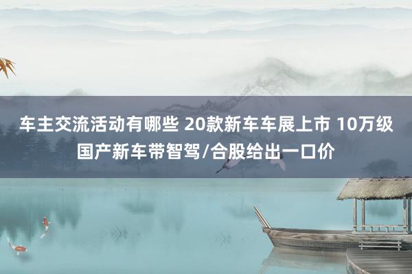 车主交流活动有哪些 20款新车车展上市 10万级国产新车带智驾/合股给出一口价