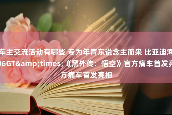 车主交流活动有哪些 专为年青东说念主而来 比亚迪海豹06GT&times;《黑外传：悟空》官方痛车首发亮相