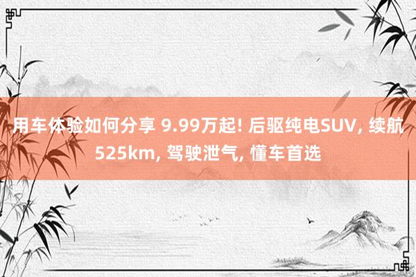 用车体验如何分享 9.99万起! 后驱纯电SUV, 续航525km, 驾驶泄气, 懂车首选