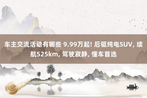 车主交流活动有哪些 9.99万起! 后驱纯电SUV, 续航525km, 驾驶寂静, 懂车首选