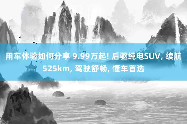 用车体验如何分享 9.99万起! 后驱纯电SUV, 续航525km, 驾驶舒畅, 懂车首选