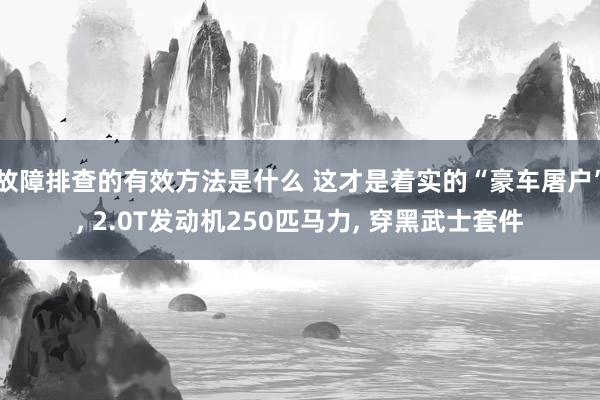 故障排查的有效方法是什么 这才是着实的“豪车屠户”, 2.0T发动机250匹马力, 穿黑武士套件