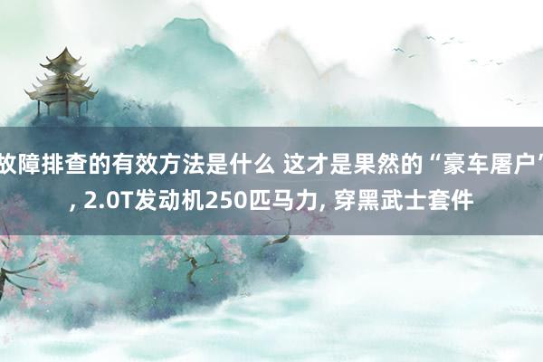 故障排查的有效方法是什么 这才是果然的“豪车屠户”, 2.0T发动机250匹马力, 穿黑武士套件