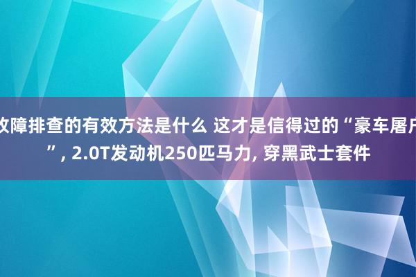 故障排查的有效方法是什么 这才是信得过的“豪车屠户”, 2.0T发动机250匹马力, 穿黑武士套件