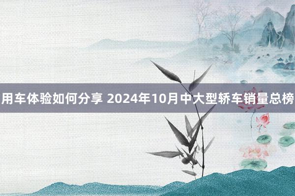 用车体验如何分享 2024年10月中大型轿车销量总榜