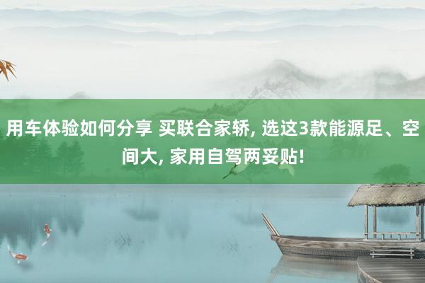 用车体验如何分享 买联合家轿, 选这3款能源足、空间大, 家用自驾两妥贴!