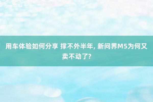 用车体验如何分享 撑不外半年, 新问界M5为何又卖不动了?