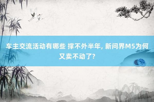 车主交流活动有哪些 撑不外半年, 新问界M5为何又卖不动了?