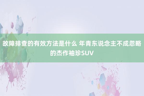 故障排查的有效方法是什么 年青东说念主不成忽略的杰作袖珍SUV