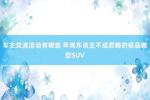 车主交流活动有哪些 年青东谈主不成忽略的极品微型SUV