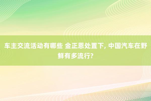 车主交流活动有哪些 金正恩处置下, 中国汽车在野鲜有多流行?