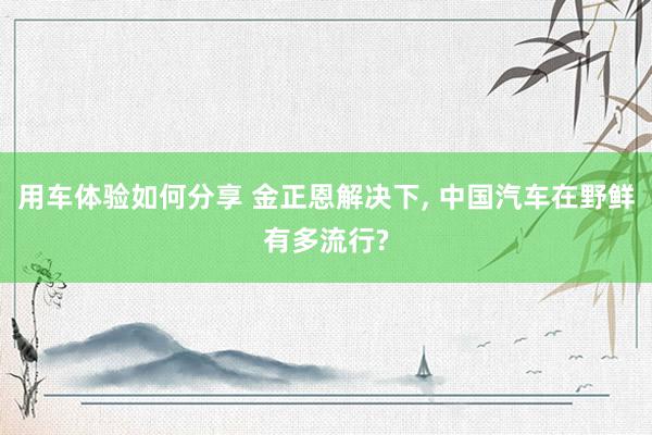 用车体验如何分享 金正恩解决下, 中国汽车在野鲜有多流行?