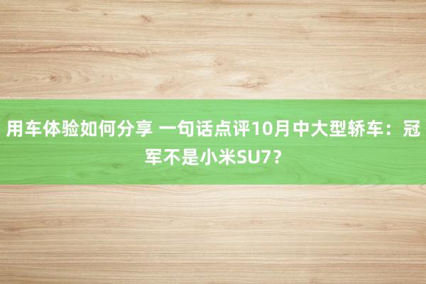 用车体验如何分享 一句话点评10月中大型轿车：冠军不是小米SU7？