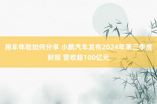 用车体验如何分享 小鹏汽车发布2024年第三季度财报 营收超100亿元