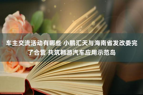 车主交流活动有哪些 小鹏汇天与海南省发改委完了合营 共筑翱游汽车应用示范岛